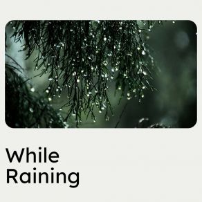 Download track Rain Perception Rainfall