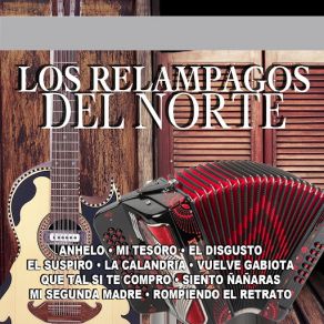 Download track Anhelo Los Relampagos Del Norte