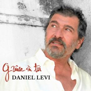 Download track Si On Peut Daniel Levi