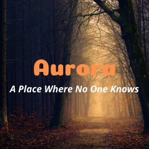 Download track Whispers In The Moonlight Aurora