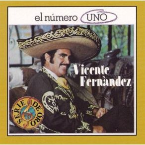 Download track No Hay Nada Completo Vicente Fernández