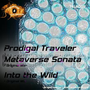 Download track Metaverse Sonata (Original Mix) Prodigal Traveler