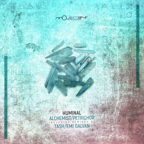 Download track Petrichor (Emi Galvan Remix) Tash, Huminal, Emi Galvan