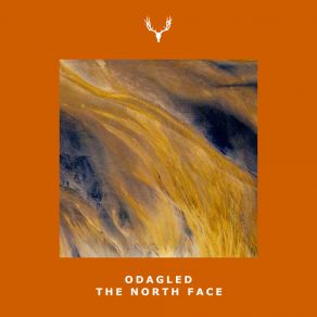 Download track The North Face (Baez Remix) OdagledBaez