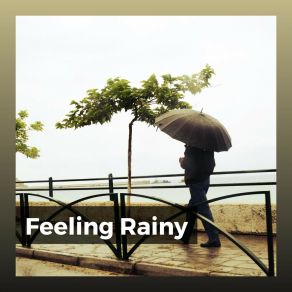 Download track At Ease With The Rain Best Rain Sounds ASMR