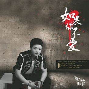 Download track 为什么爱上让我伤心的人 帅霖