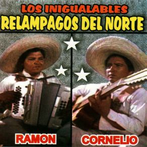 Download track Albur Perdido Los Relampagos Del Norte