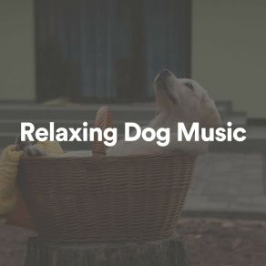 Download track Relaxing Dog Music, Pt. 18 For You