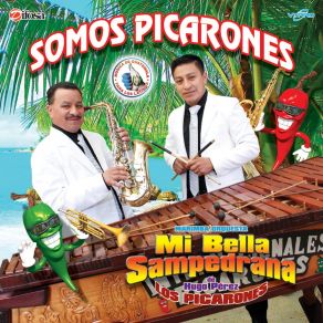 Download track Dale Vieja Dale Marimba Orquesta Mi Bella Sampedrana