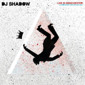 Download track Nobody Steam (Live In Manchester) Dj Shadow