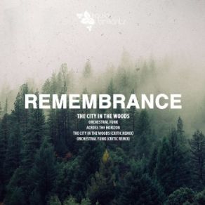 Download track The City In The Woods Remembrance