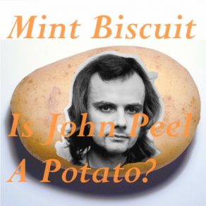 Download track Microchips Mint Biscuit