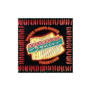Download track We're Having A Party Buckwheat Zydeco