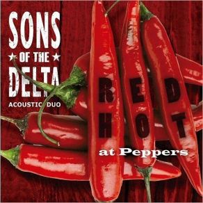 Download track Lipstick Sunset Sons Of The Delta