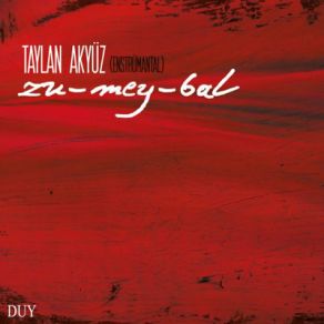 Download track Bejne Taylan Akyüz