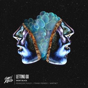 Download track Letting Go (Franky Rizardo Remix) Mont Blvck