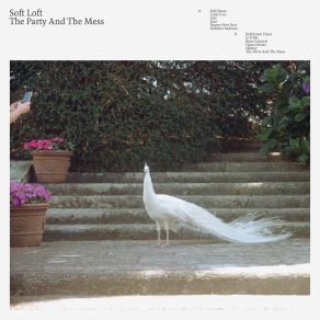 Download track The Party And The Mess Soft Loft