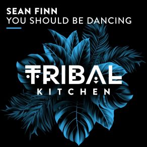 Download track You Should Be Dancing (Extended Mix) Sean Finn