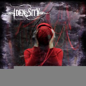 Download track Picture Idensity