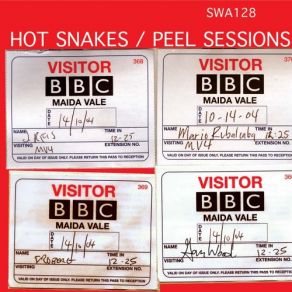 Download track This Mystic Decade Hot Snakes