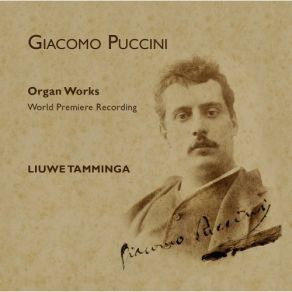 Download track Versetto No. 23 In G Major: Allegretto Liuwe Tamminga