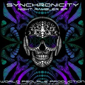 Download track Worm Hole Synchronicity