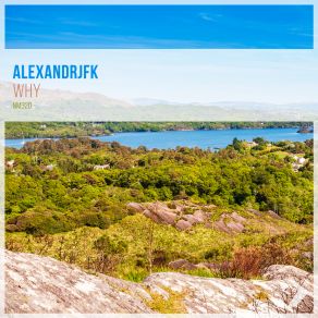 Download track Why (Radio Edit) ALEXANDRJFK