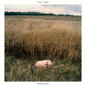 Download track Looseleaf Sinai Vessel