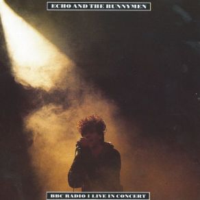 Download track Lips Like Sugar Echo & The Bunnymen