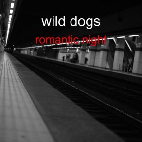 Download track Camel Night The Wild Dogs