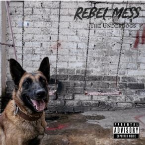 Download track Better Shot Rebel Mess