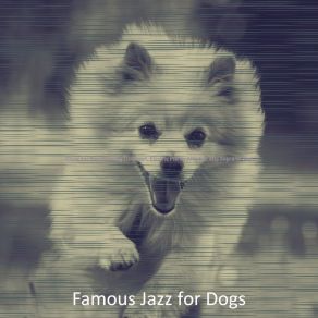 Download track Amazing Music For Well Behaved Dogs Famous Jazz For Dogs