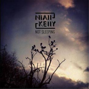 Download track Not Sleeping Niall Kelly