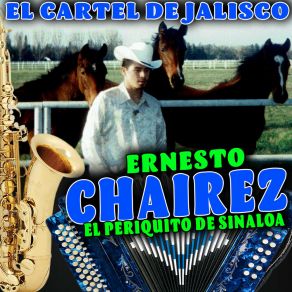 Download track Que Ironia Ernesto Chairez El Periquito De Sinaloa