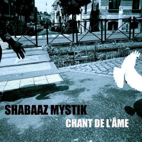 Download track Afro Mystik Shabaaz Mystik