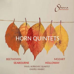 Download track Mozart: Horn Quintet In E-Flat Major, K. 407: I. Allegro Ondrej Vrabec, Pavel Bořkovec Quartet