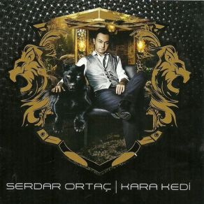 Download track Sabrimdan Serdar Ortaç