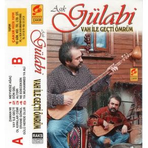 Download track Alidir Aşık Gülabi