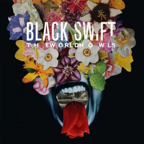 Download track My Short-Lived Shadow Black Swift