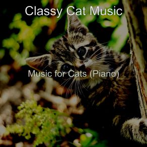 Download track Artistic Backdrops For Cute Cats Classy Cat Music