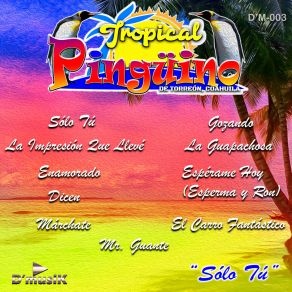 Download track Gozando Tropical Pingüino De Torreón