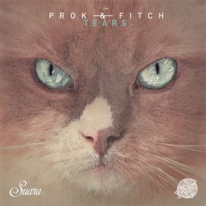 Download track Hot Controller (Original Mix) Prok & Fitch