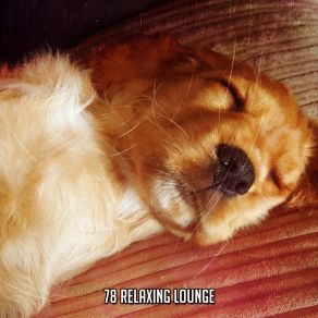 Download track Relaxing In The Evening Natural White Noise For Babies