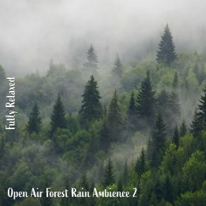 Download track Open Air Forest Rain Ambience, Pt. 6 Steve Brassel