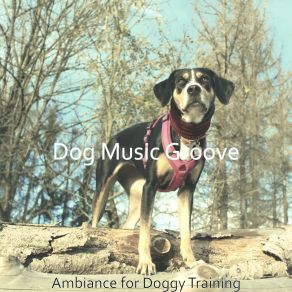 Download track Smart Ambiance For Reducing Dog Stress Dog Music Groove