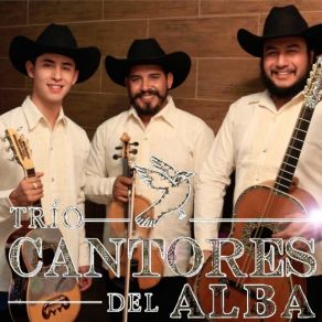 Download track Paz En Este Amor Trío Cantores Del Alba