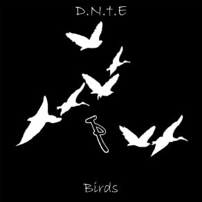 Download track Birds D. N. T. E.