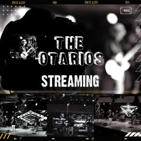 Download track Bajonazo (En Vivo) The Otarios