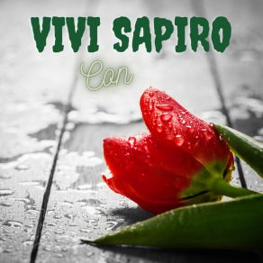 Download track Ataúd Vivi Sapiro