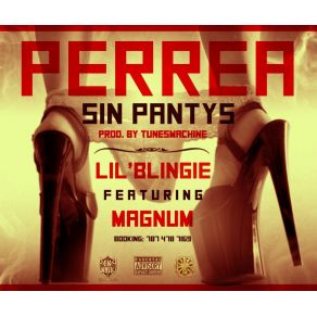 Download track Perrea Sin Pantys Magnum, Lil Blingie